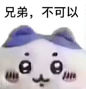 兄弟，不可以（兄弟，不可以）