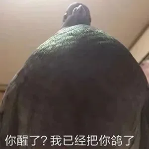 你醒了？我已经把你鸽了（你醒了？我已经把你鸽了）