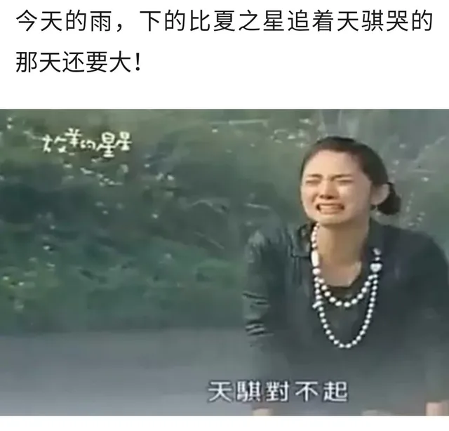 今天的雨,下的比夏之星追着天骐哭的那天还要大!星天騏對不起