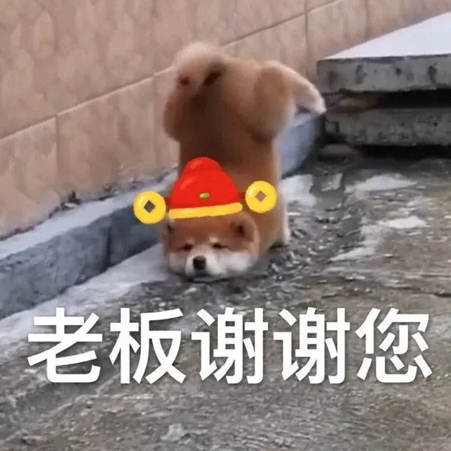 老板谢谢您