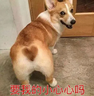 狗子：小心心你要不要？_小心心_撩妹撩汉