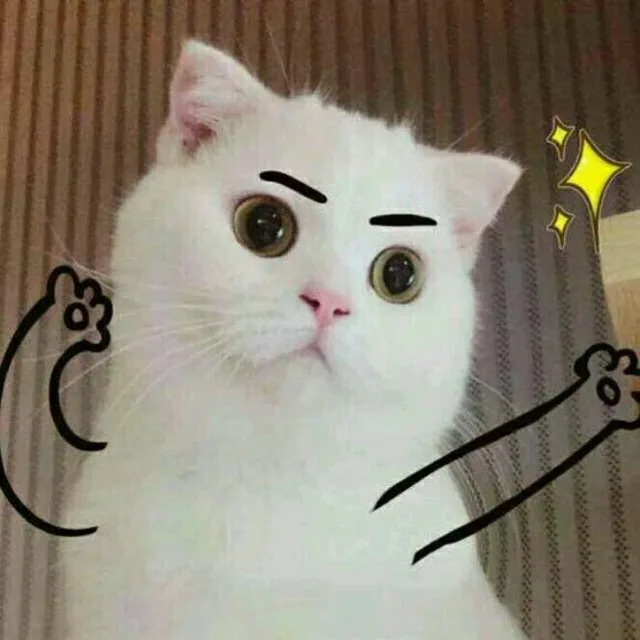 我是不是你最爱的人