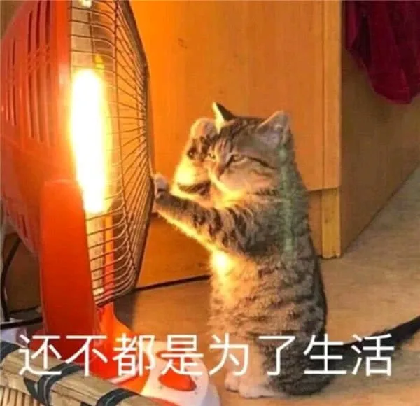 还不都是为了生活