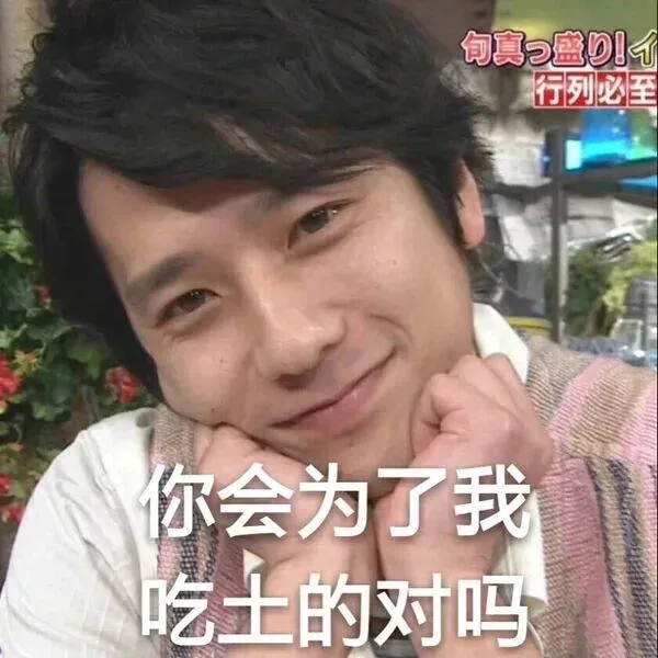 甸真p盛!行列必为了我吃土的对吗（甸真p盛!行列必为了我吃土的对吗）