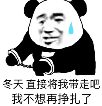 冬天直接将我带走吧 我不想再挣扎了