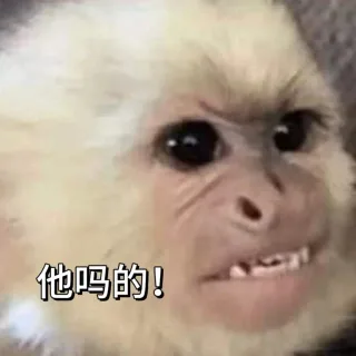 吗喽和水豚表情包