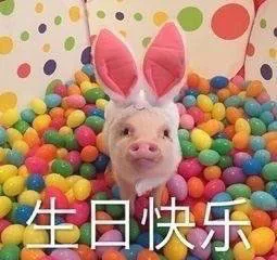 生日快乐