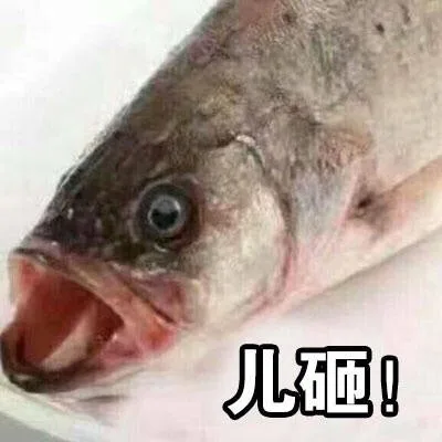 儿砸!