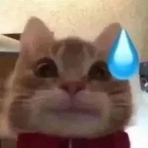 歪嘴猫猫表情包 滴汗（歪嘴猫猫表情包 滴汗）