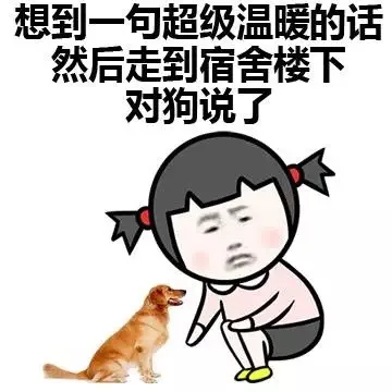 想到一句超级温暖的话然后走到苏苏楼下对狗说了