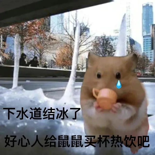 下水道结冰了好心人给鼠鼠买杯热饮吧（下水道结冰了好心人给鼠鼠买杯热饮吧）