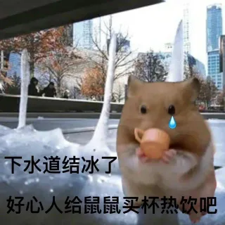 下水道结冰了好心人给鼠鼠买杯热饮吧