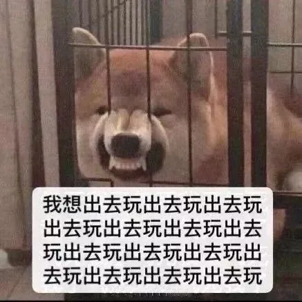 我想出去玩出去玩出去玩出去玩出去玩出去玩出去玩出去玩出去玩出去玩出去玩出去玩出去玩出去玩