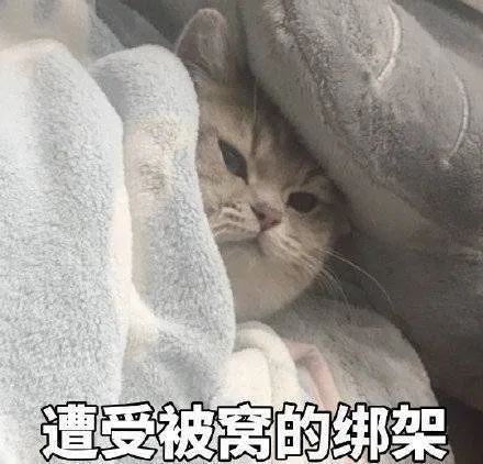 遭受被窝的绑架（遭受被窝的绑架）