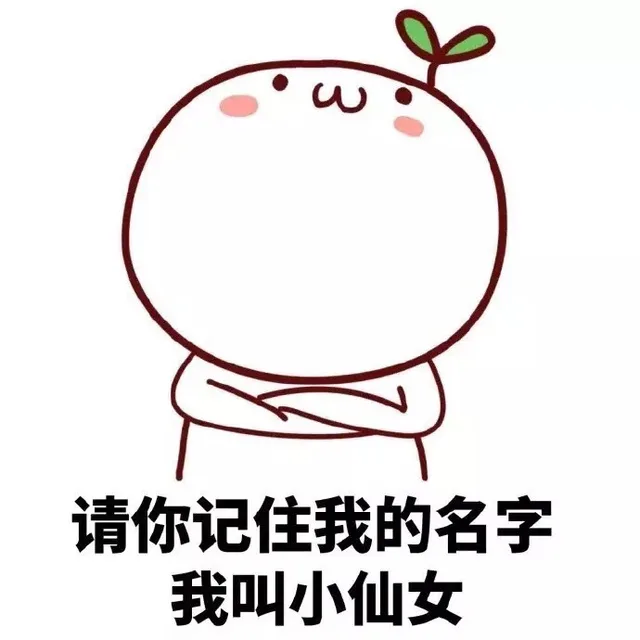 请你记住我的名字 我叫小仙女