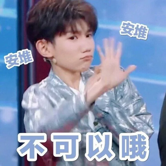 不可以哦（王源表情包）