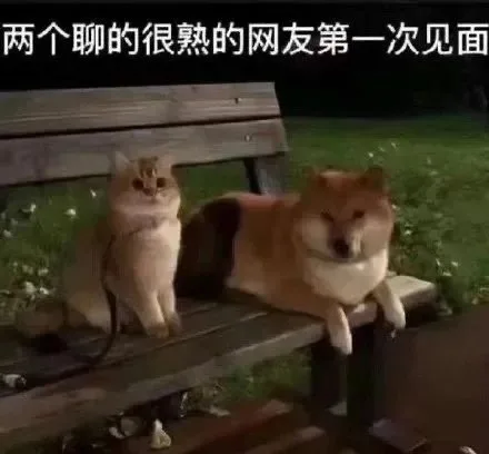 两个聊的很熟的网友第一次见面（两个聊的很熟的网友第一次见面）