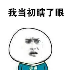 我当初瞎了眼
