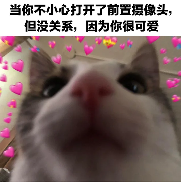 当你不小心打开了前置摄像头,但没关系,因为你很可爱（当你不小心打开了前置摄像头,但没关系,因为你很可爱）