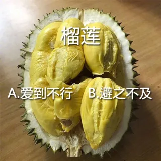 榴莲：A.爱到不行B避之不及