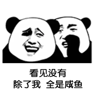 熊猫头悄悄话：看见没有，除了我 全是...