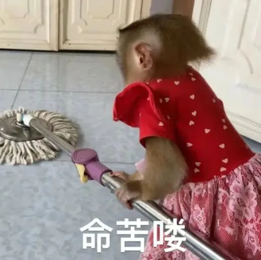 命苦喽(吗喽表情包)（命苦喽(吗喽表情包)）