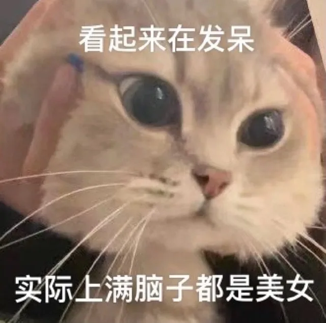 看起来在发呆实际上满脑子都是美女（看起来在发呆实际上满脑子都是美女）