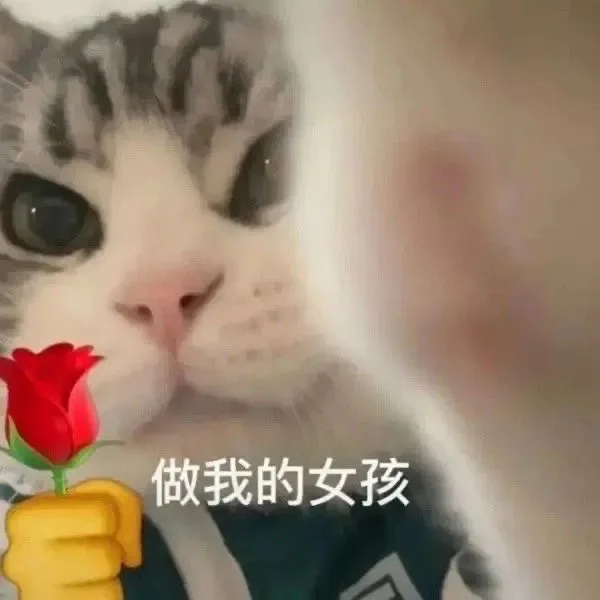 做我的女孩 猫咪举花