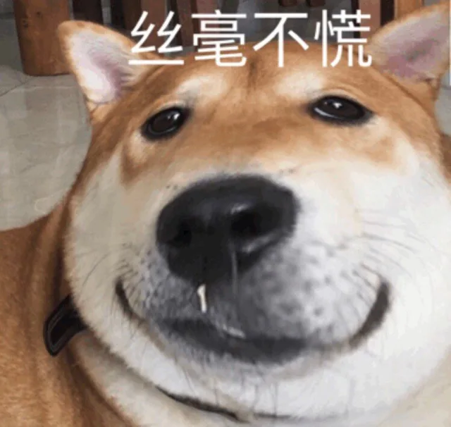 丝毫不慌（大嘴狗表情包）（丝毫不慌（大嘴狗表情包））