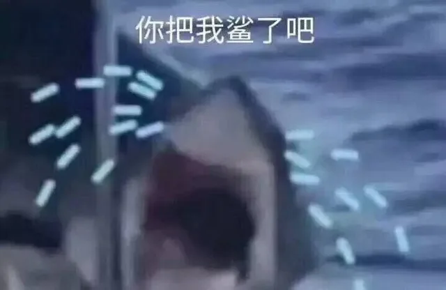 鲨鱼表情包系列_鲨鱼