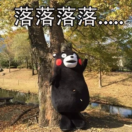 落落落落。。。。