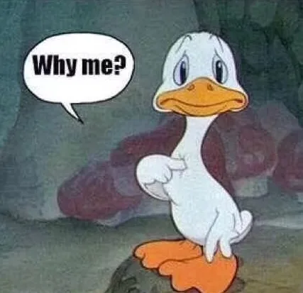 why me？为什么是我（why me？为什么是我）
