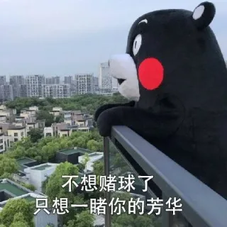 世界杯熊本熊土味情话_世界杯_熊本熊表情包