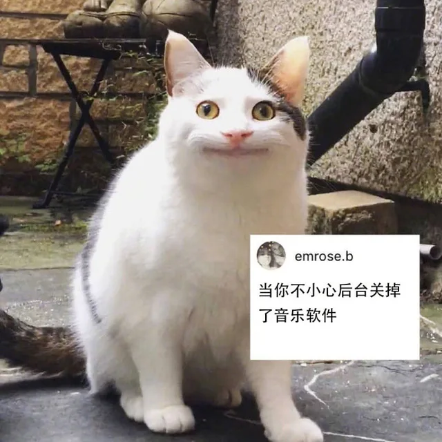 当你不小心后台关掉了音乐软件