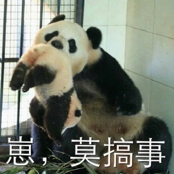 崽，莫搞事