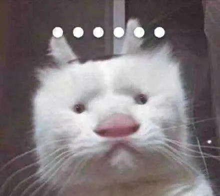(潦草猫猫表情包)（(潦草猫猫表情包)）