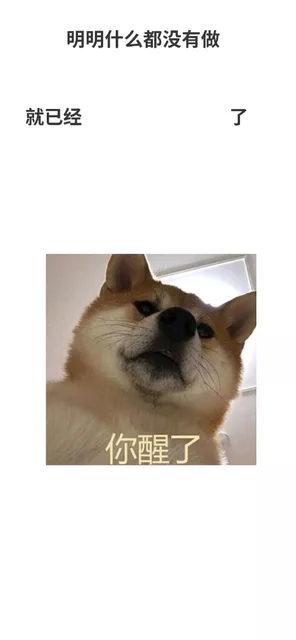 明明什么都没有做就已经了你醒了(doge)（明明什么都没有做就已经了你醒了(doge)）
