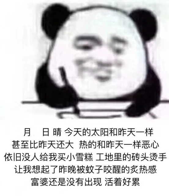 月日晴今天的太阳和昨天一样甚至比昨天还大热的和昨天一样恶心依旧没人给我买小雪糕工地里的砖头烫手让我想起了昨晚被蚊子咬醒的炙热感富婆还是没有出现活着好累