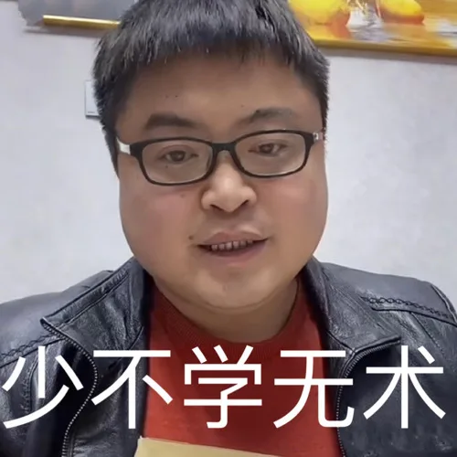 少不学无术