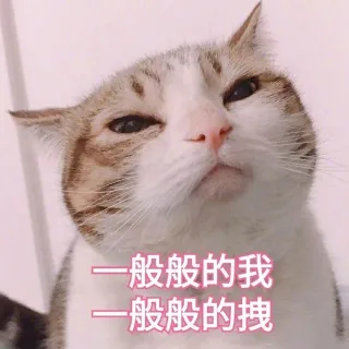 般般的我般般的拽