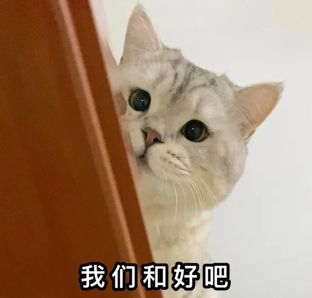 我们和好吧
