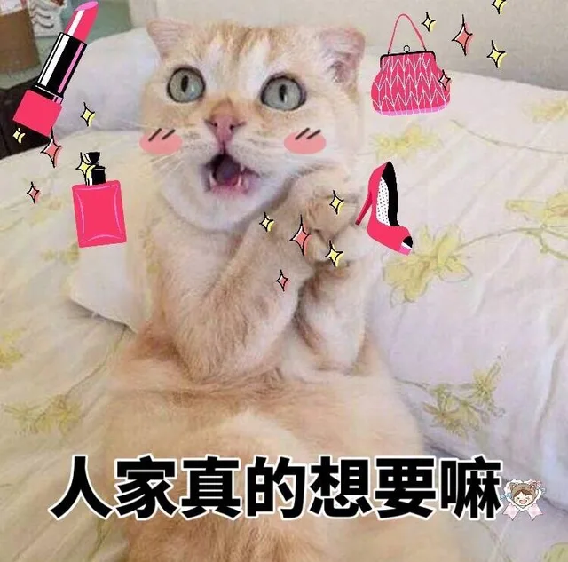 人家真的想要嘛人