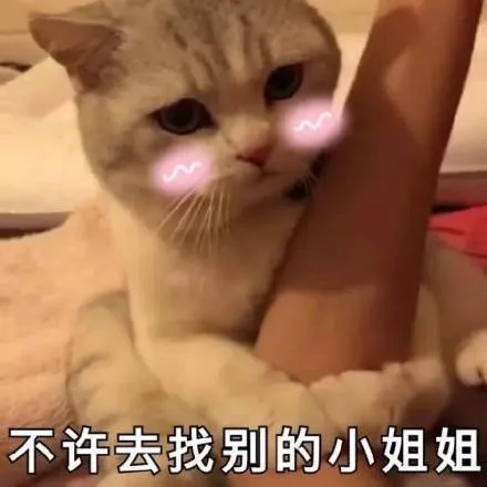 对小哥哥发的撩汉表情包_撩妹撩汉
