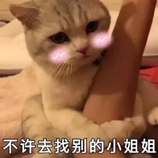 对小哥哥发的撩汉表情包_撩妹撩汉表情包
