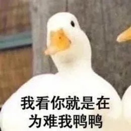 我看你就是在为难我鸭鸭（我看你就是在为难我鸭鸭）