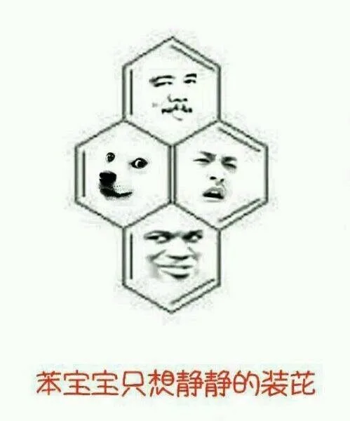 苯宝宝只想静静的装逼