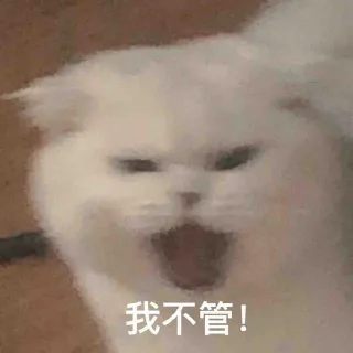 我不管!