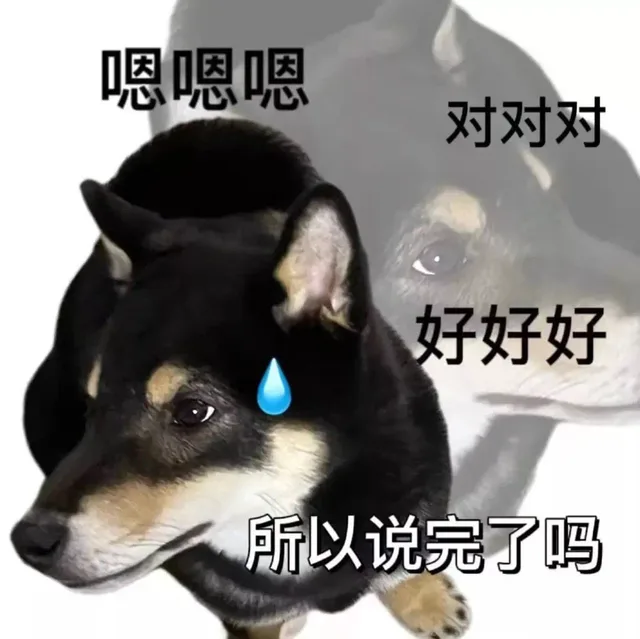 狗子表情包