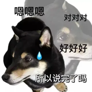 狗子