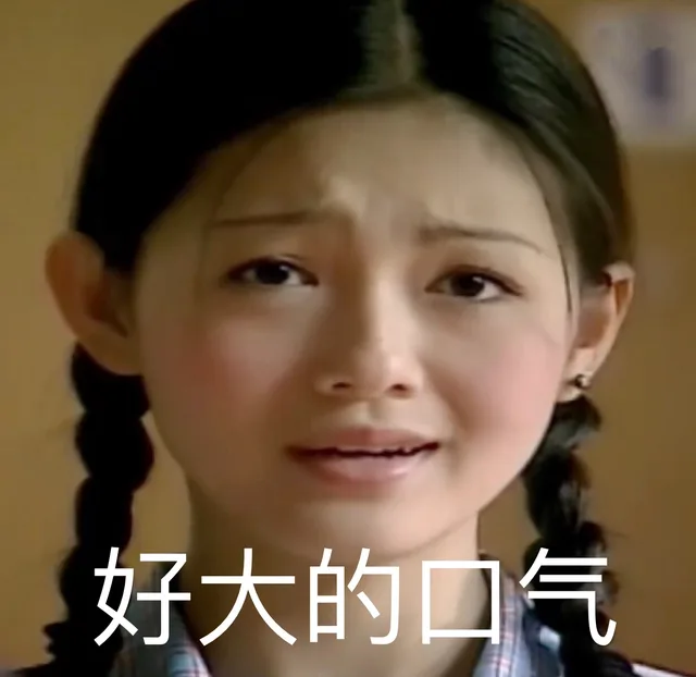 好大的口气（好大的口气）